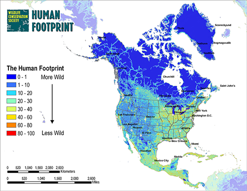 Map of Human Footprint in North America